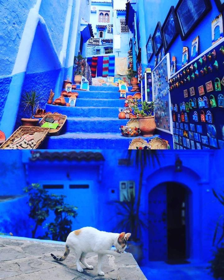 Casa Dreams Chaouen Apartment Chefchaouen Luaran gambar